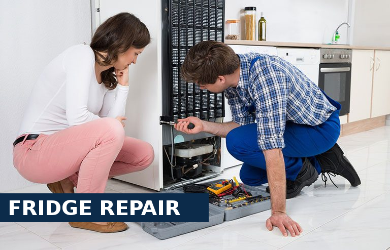 Fridge Repair Olympic Park